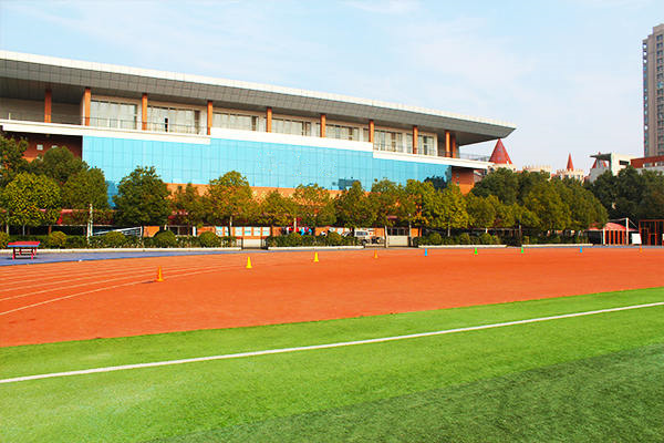 美国产子后孩子是否可以回国读书(图1)
