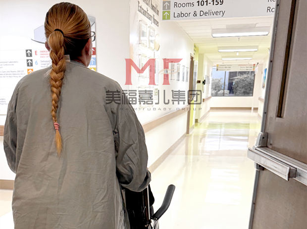 赴美生子的五大核心价值(图1)